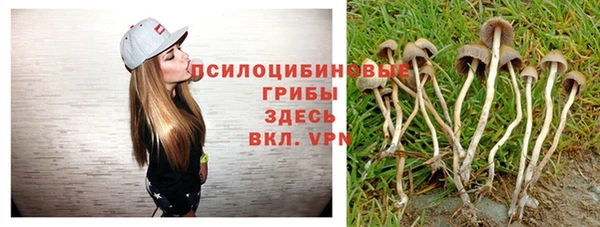 герыч Липки